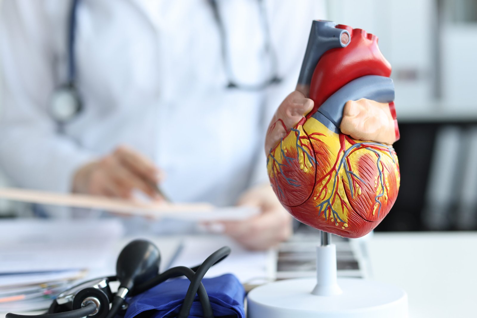 Artificial plastic model of human heart standing against background of cardiologist closeup Artificial plastic model of human heart standing against background of cardiologist closeup. Cardiac care concept