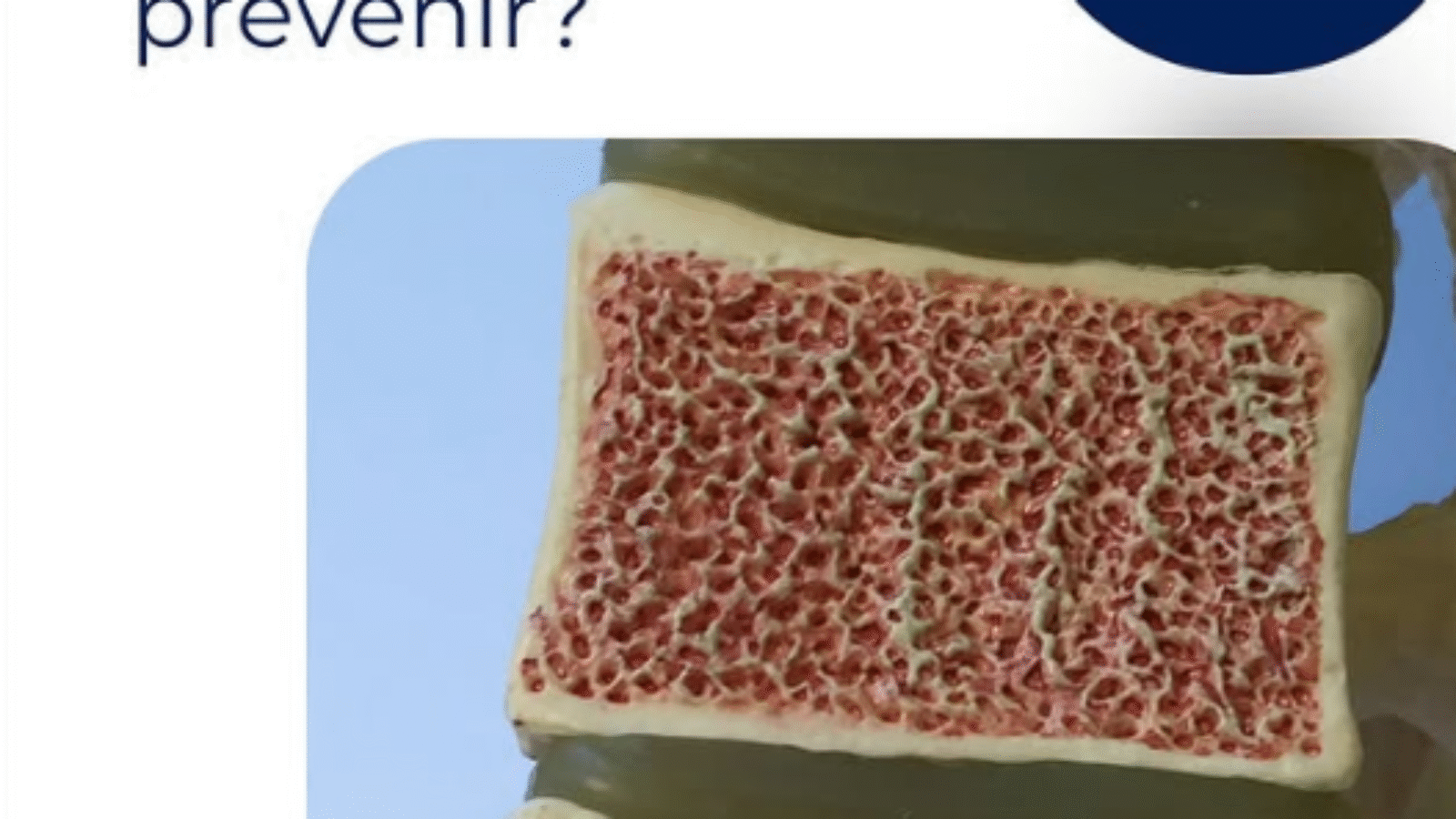 imagem_2025-07-25_122524497