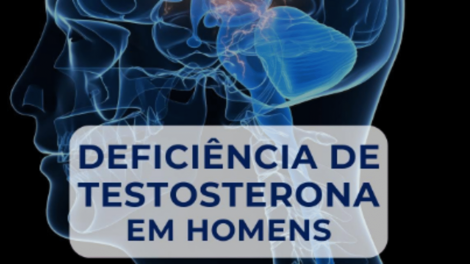 imagem_2025-07-25_122718738